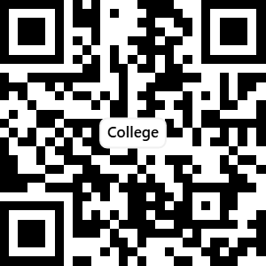 College Website preview