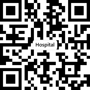 Hospital System preview