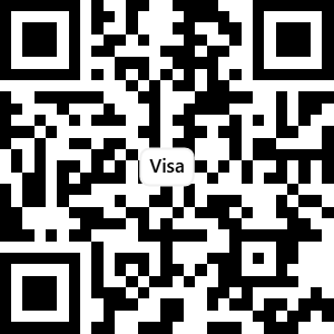 Visa Services preview